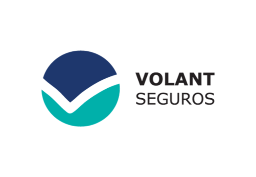 Volant Seguros Corretora - Puntel Marketing